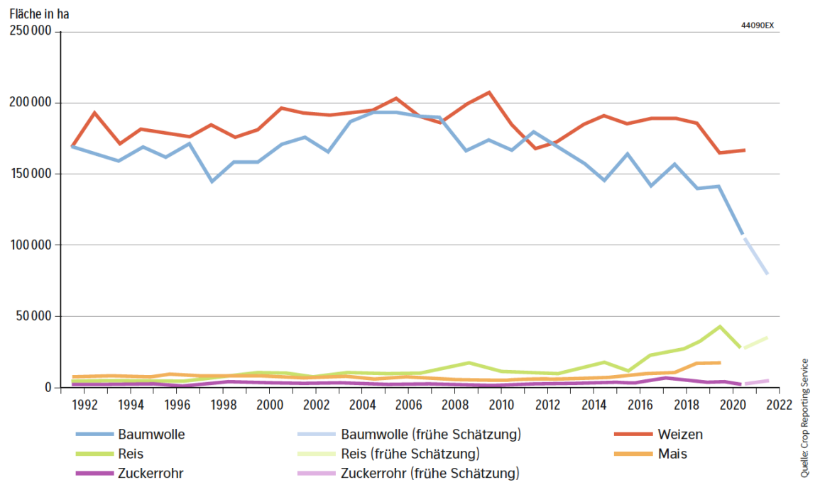 Liniendiagramm 1992–2022: Flächen in ha für Baumwolle, Reis, Zuckerrohr, Weizen und Mais, mehrere farbige Linien.